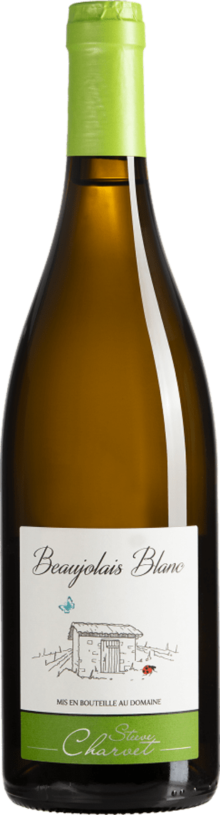 Beaujolais Blanc – Steeve Charvet 1