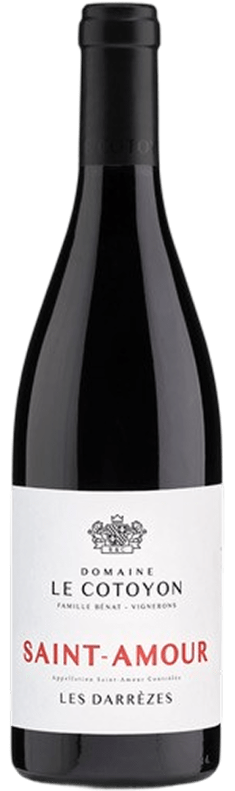 Photo Saint Amour – Les Darrezes – Domaine le Cotoyon 1