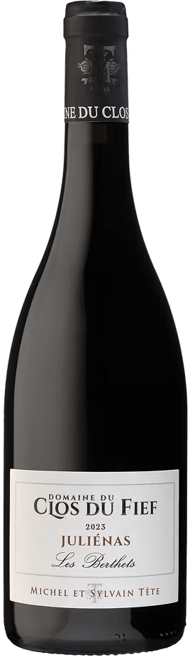 cols-du-fief-julienas-les-berthets