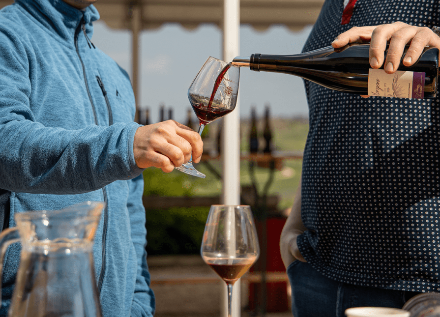 Winegrowers’ collective in Beaujolais and the Mâconnais
